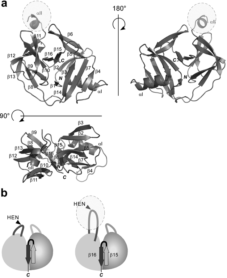 Figure 7: