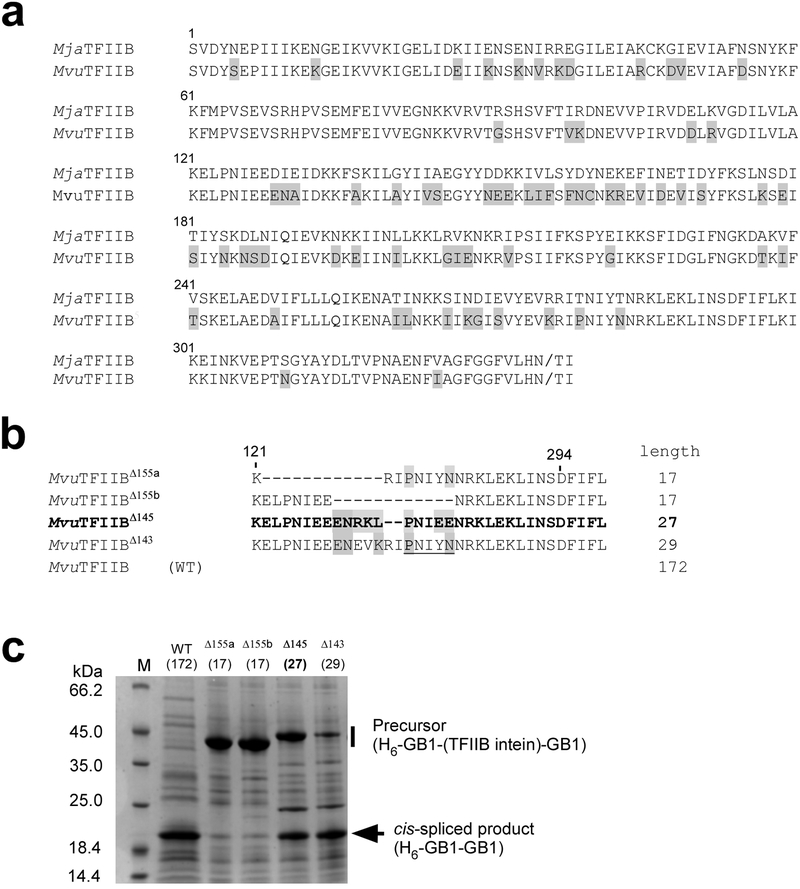 Figure 6: