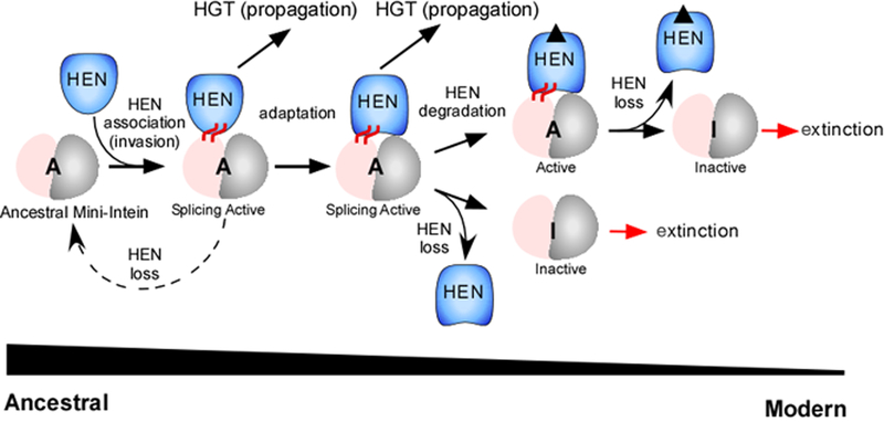 Figure 9: