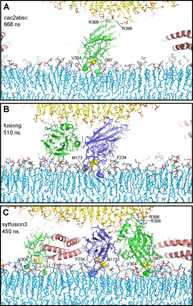 Figure 2.