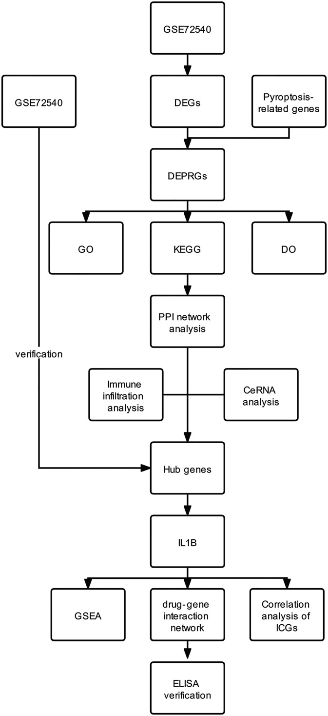 Figure 1