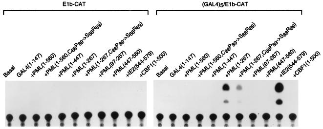 FIG. 11