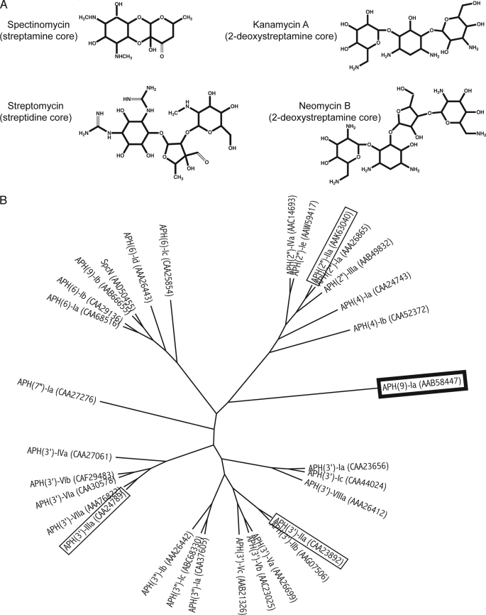 FIGURE 1.