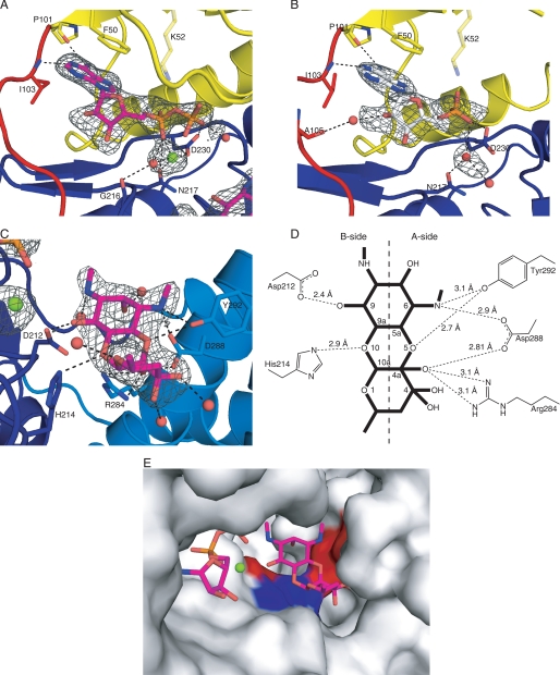 FIGURE 4.