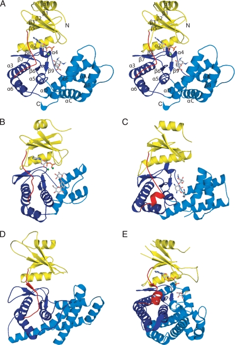 FIGURE 2.