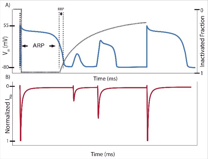 Figure 1.