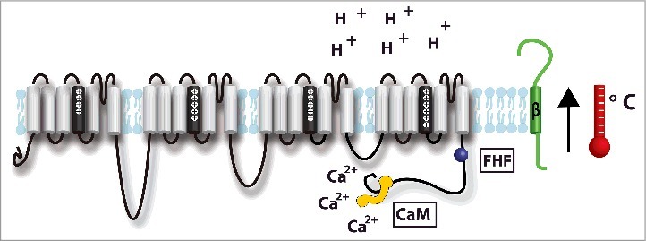 Figure 5.