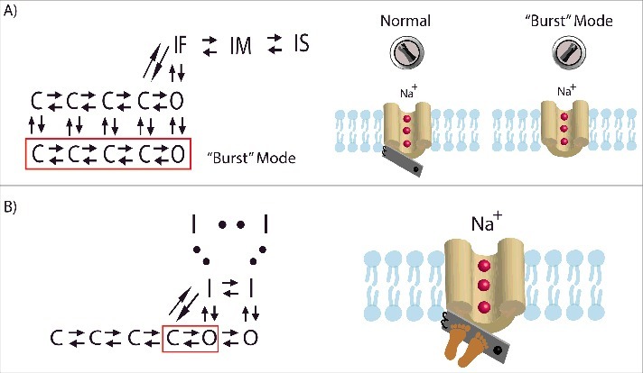 Figure 6.