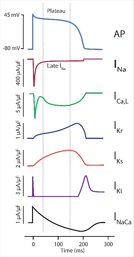 Figure 2.