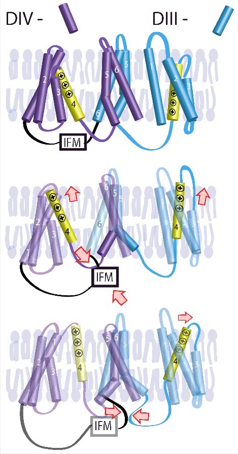 Figure 4.