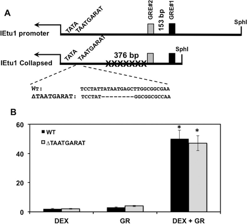 FIG 3