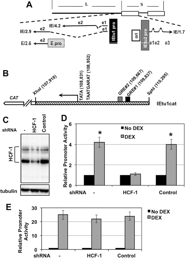 FIG 1