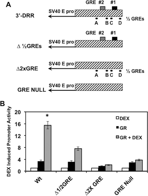 FIG 7