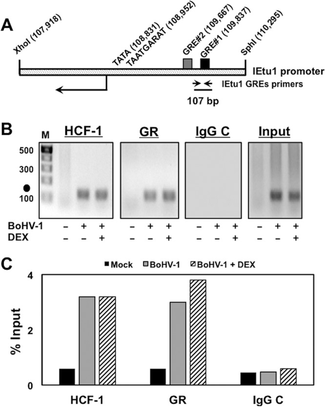 FIG 5