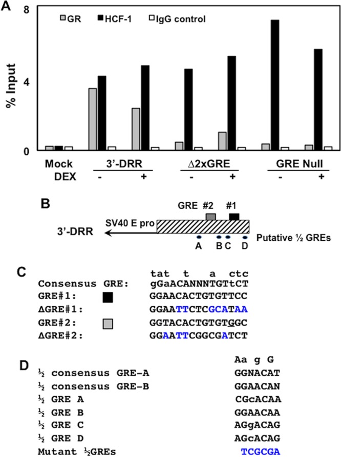 FIG 6