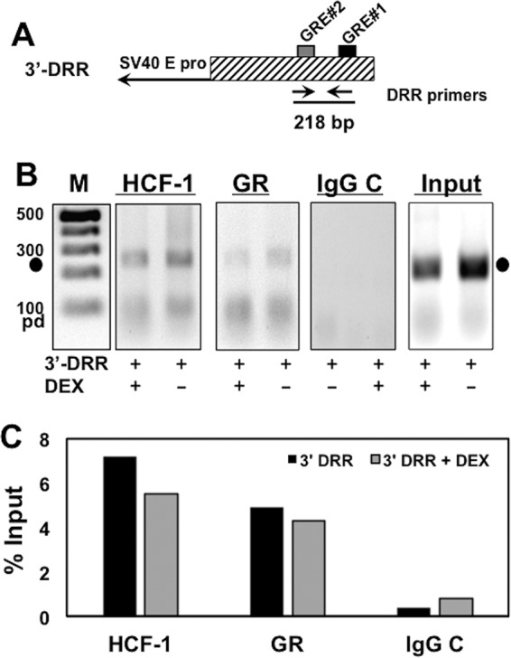 FIG 4