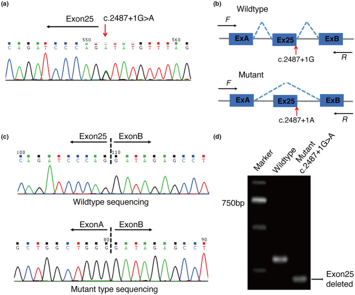FIGURE 2