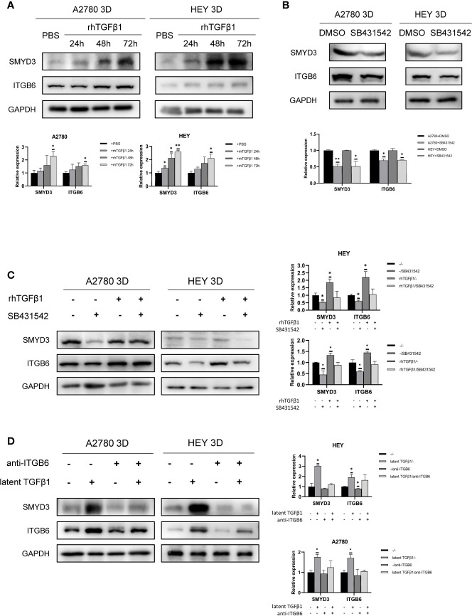 Figure 6