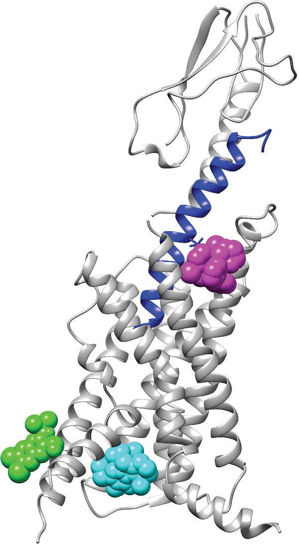 FIGURE 4