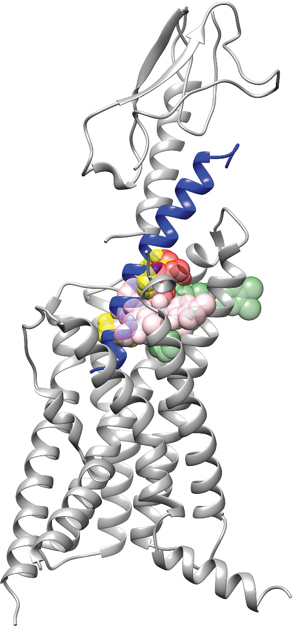 FIGURE 2