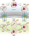 Fig. 6.