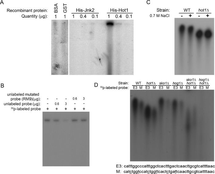 FIGURE 11: