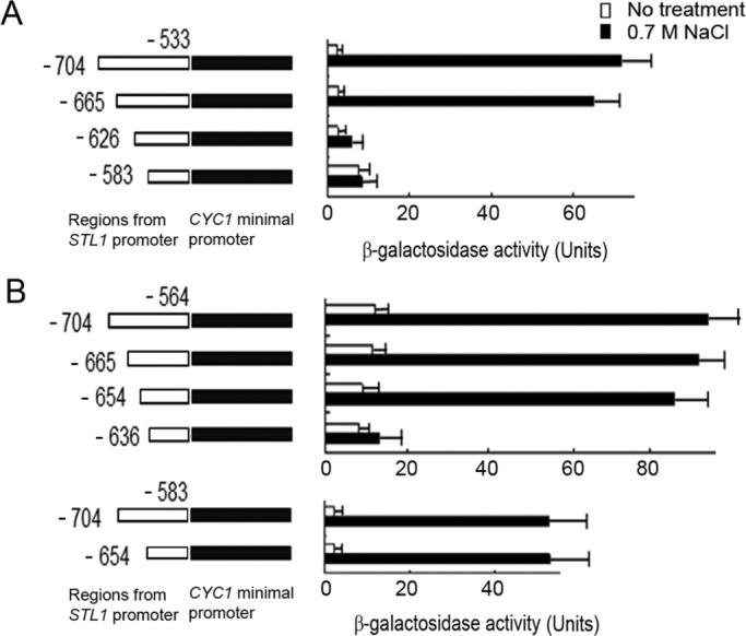 FIGURE 4: