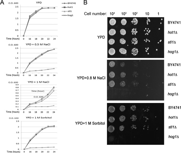 FIGURE 13: