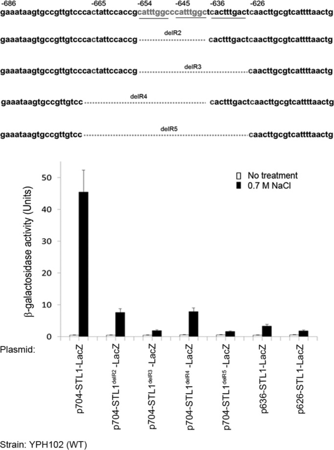 FIGURE 5: