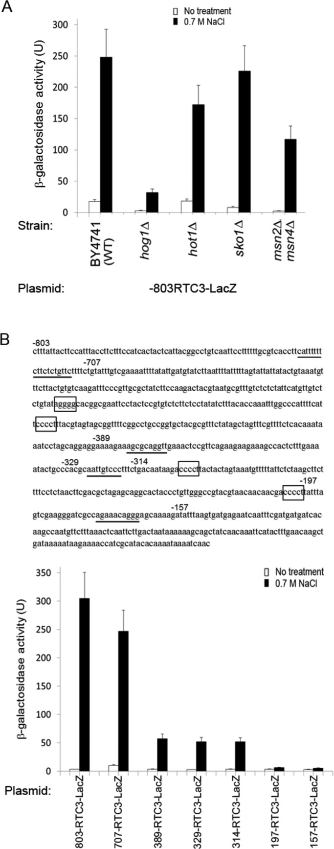 FIGURE 10: