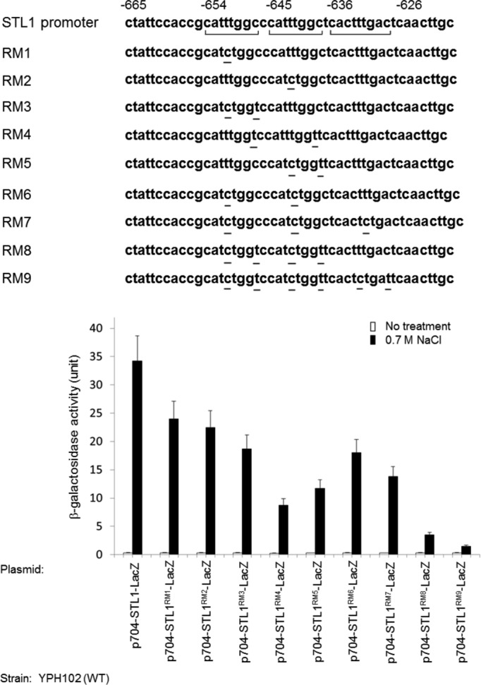 FIGURE 6: