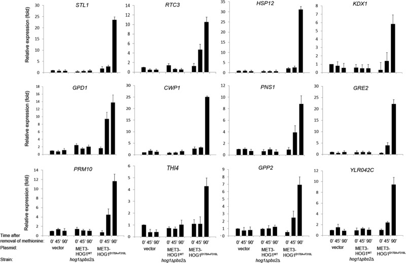 FIGURE 2: