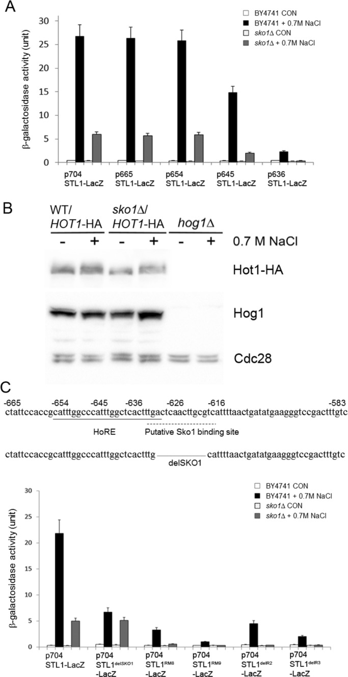 FIGURE 9: