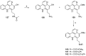 Scheme 24