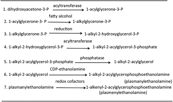 Fig. 10.