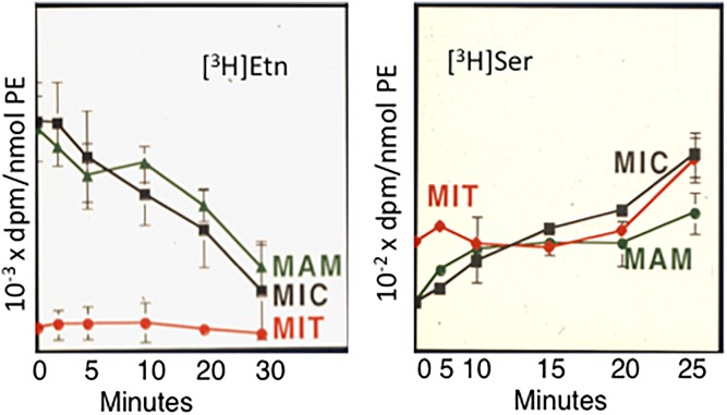 Fig. 8.