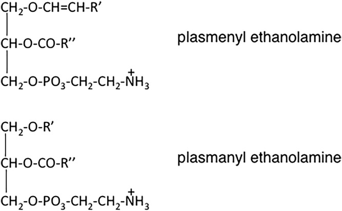 Fig. 9.