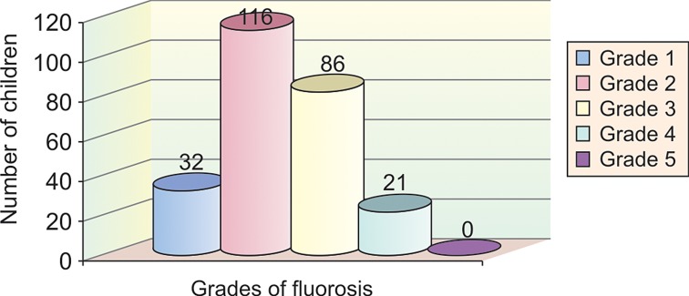 Graph 8: