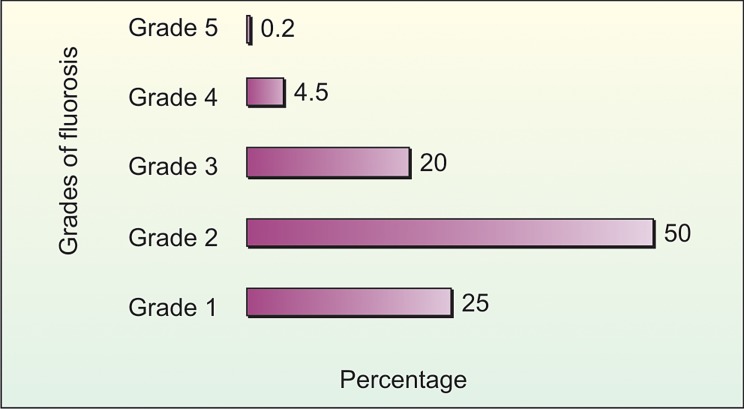 Graph 9: