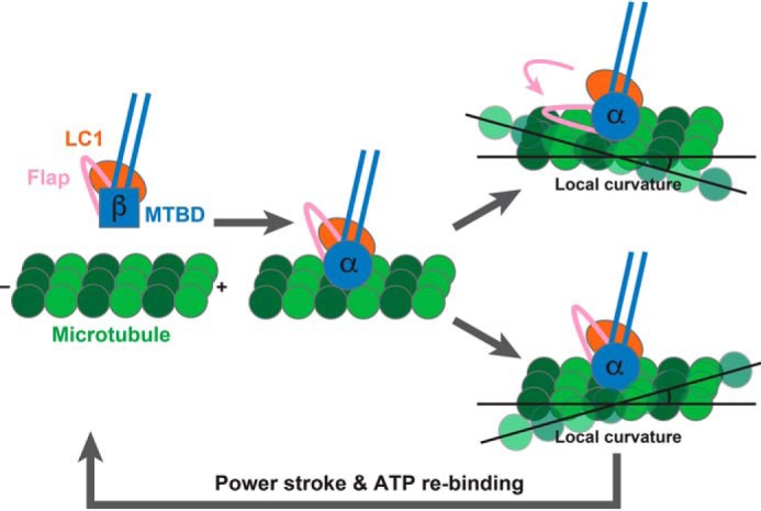 Figure 6.