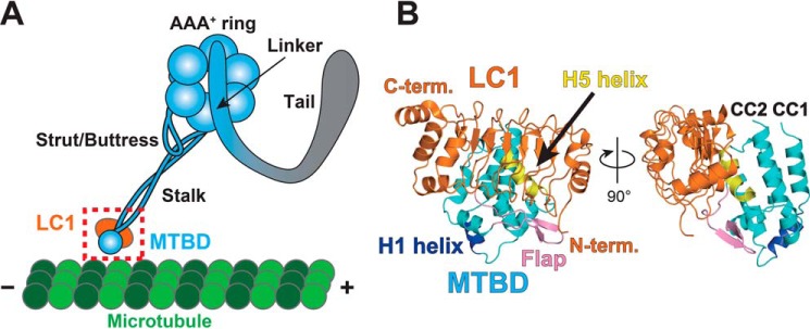 Figure 1.