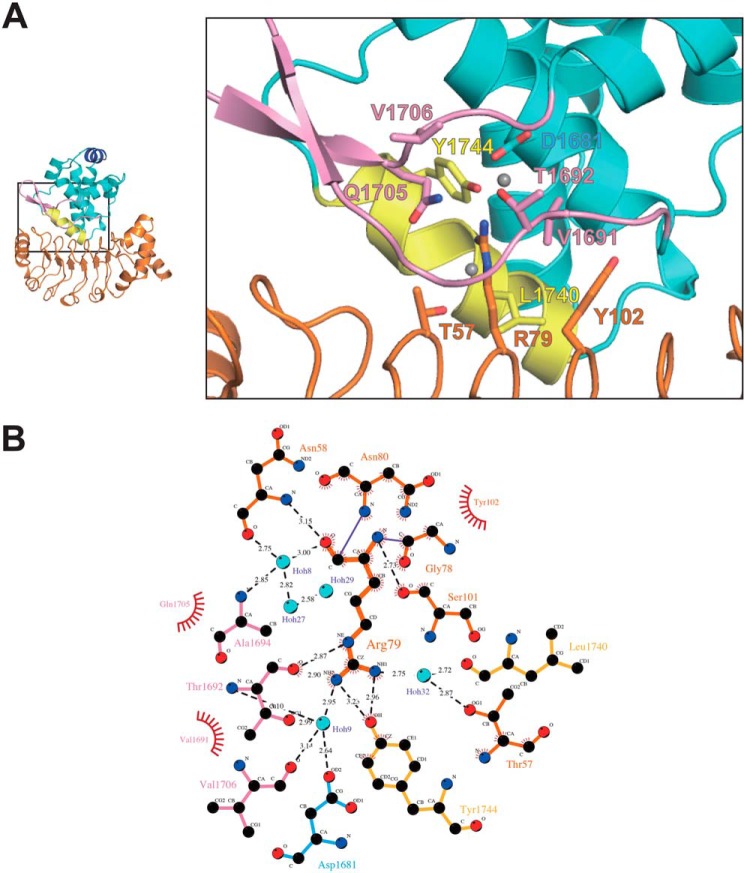 Figure 4.