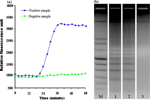 Fig. 10