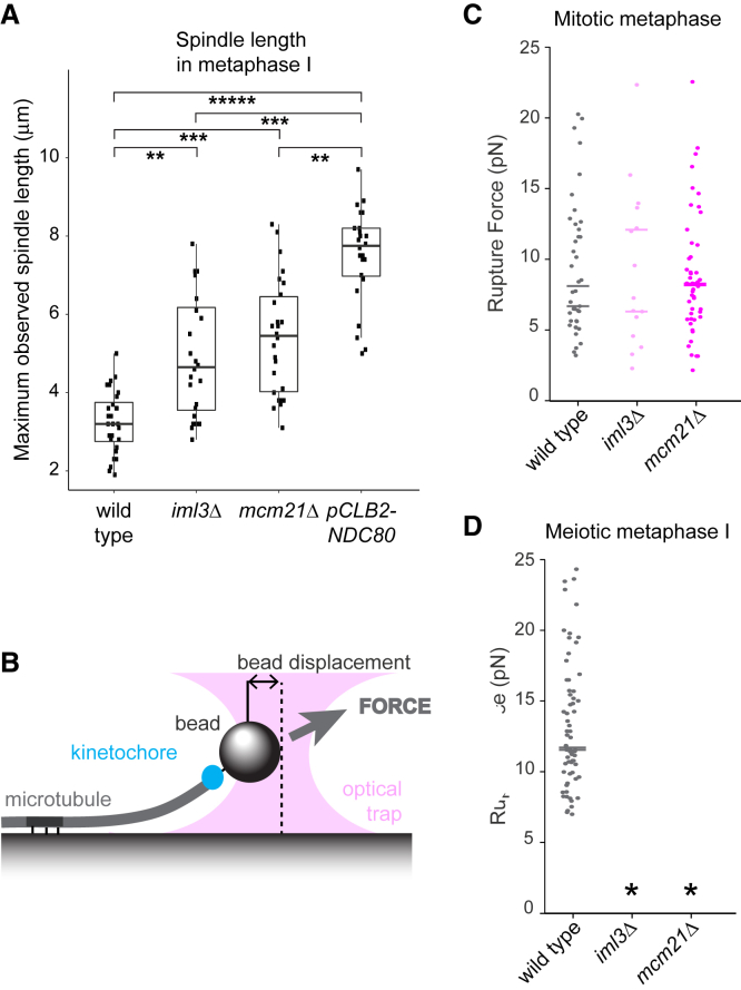 Figure 6