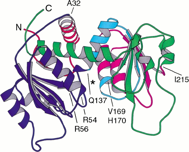 Fig. 2.