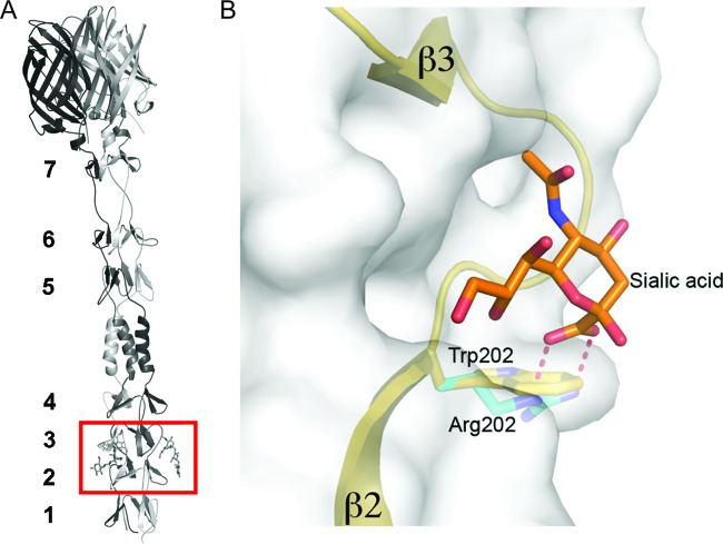 Fig 9