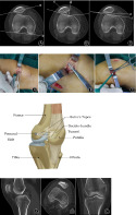 graphic file with name OS-13-847-g002.jpg