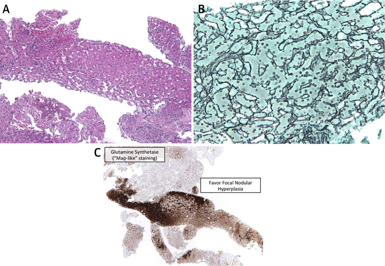 Figure 3