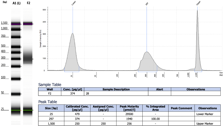 Figure 4