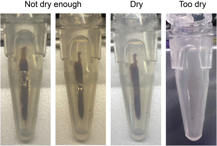 Figure 3